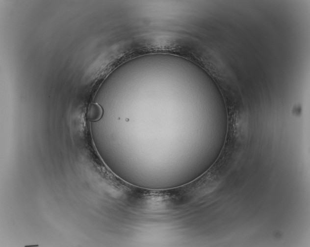 X0000111800746200907301209
