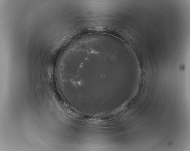 X0000111800747200907301209