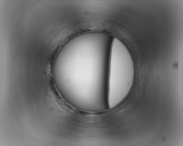 X0000111800748200907301209