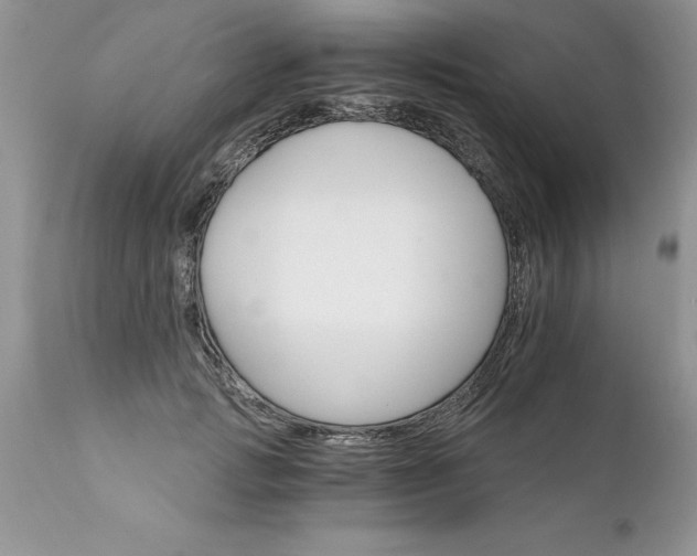 X0000111800749200907301209