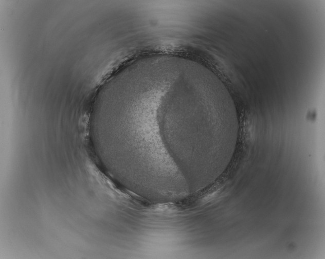 X0000111800750200907301209