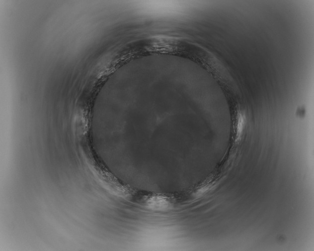 X0000111800751200907301209