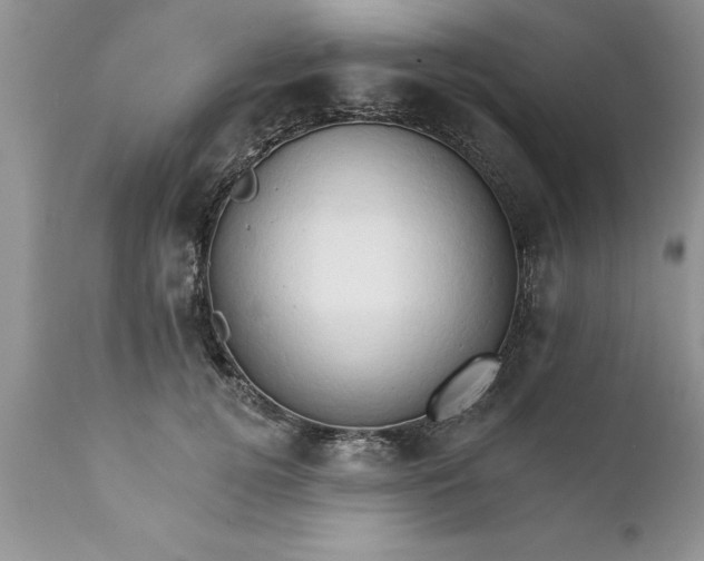 X0000111800752200907301209