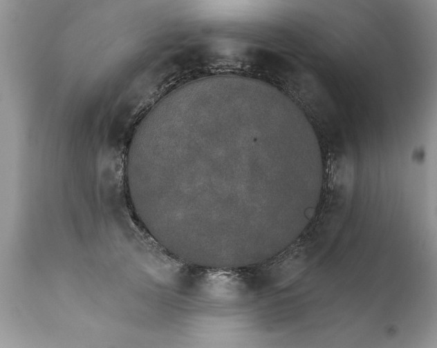 X0000111800753200907301209