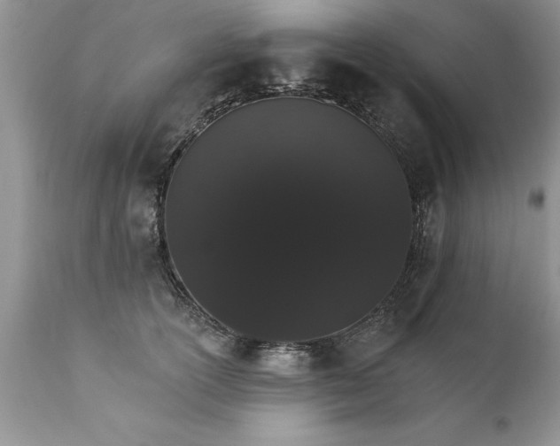 X0000111800754200907301209