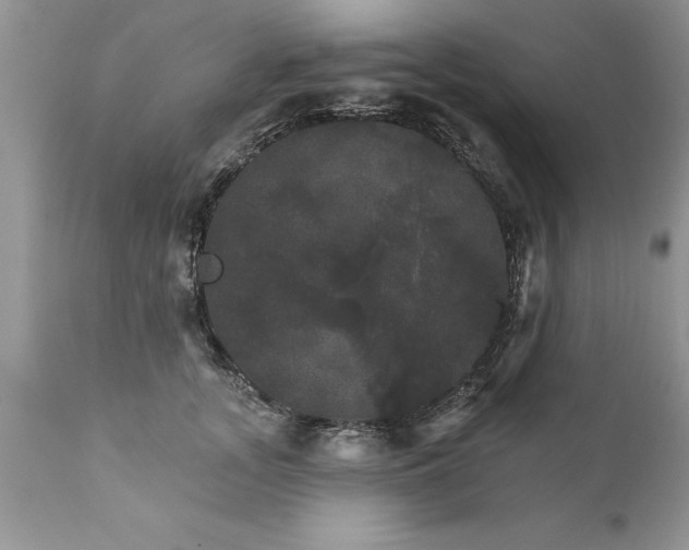 X0000111800755200907301209