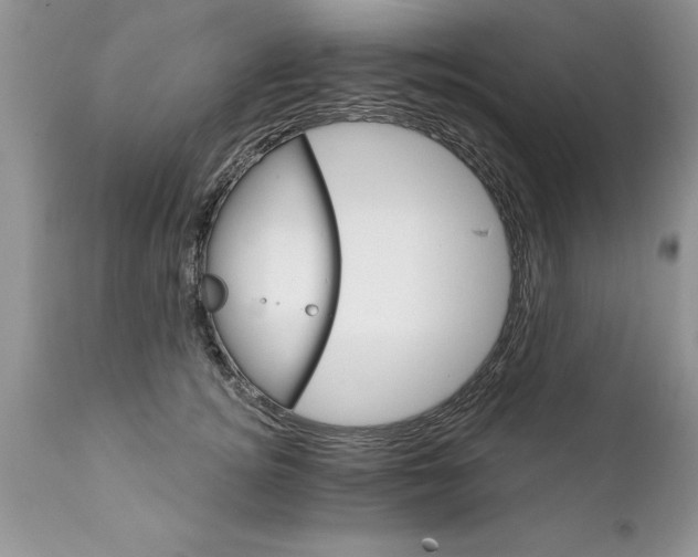X0000111800756200907301209
