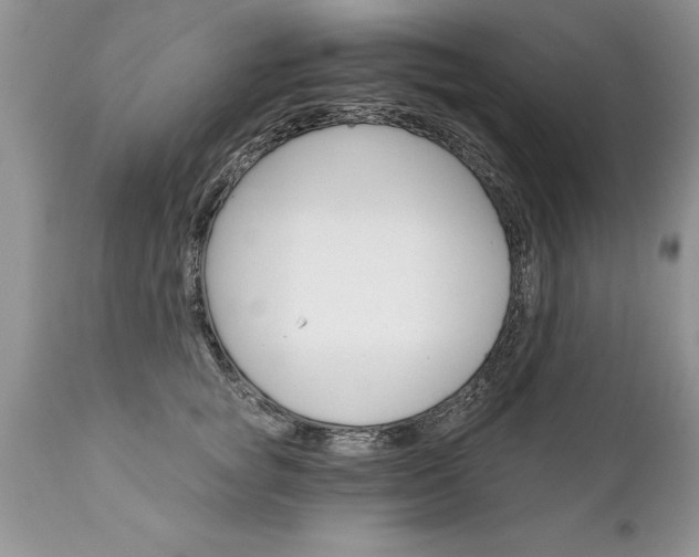 X0000111800757200907301209