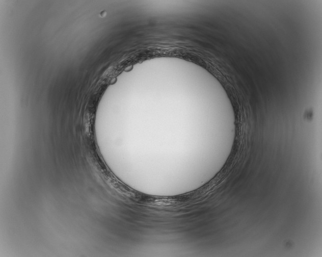 X0000111800758200907301209