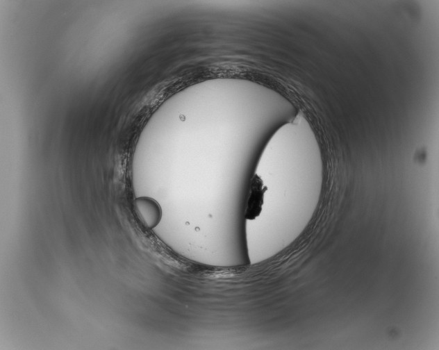X0000111800759200907301209