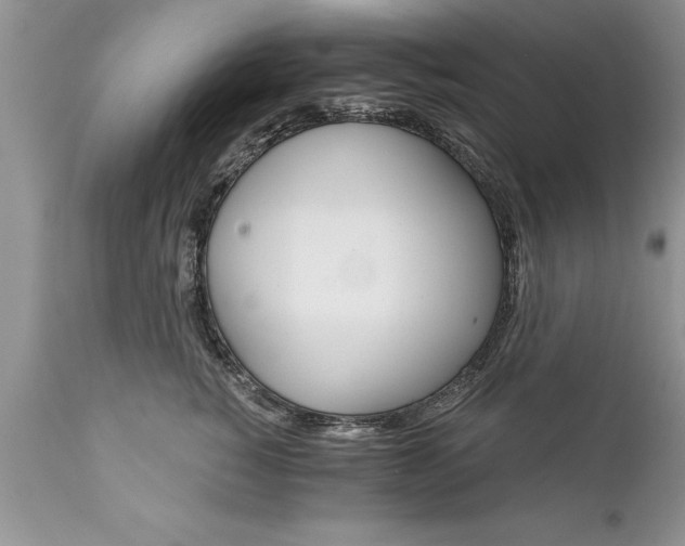 X0000111800760200907301209