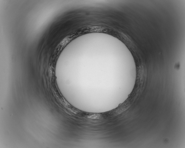 X0000111800761200907301209
