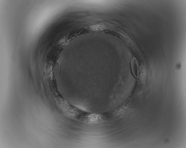 X0000111800762200907301209