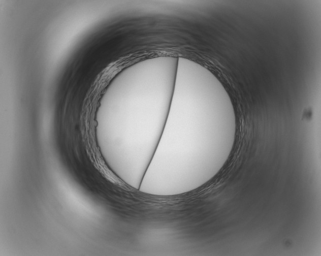 X0000111800763200907301209