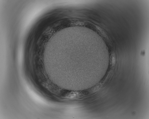 X0000111800764200907301209