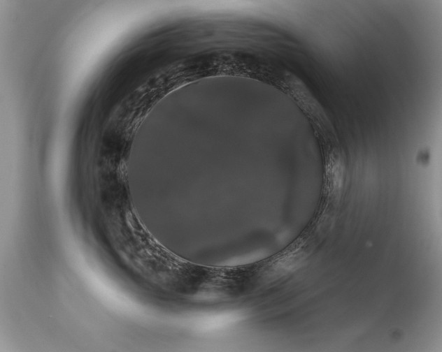 X0000111800765200907301209