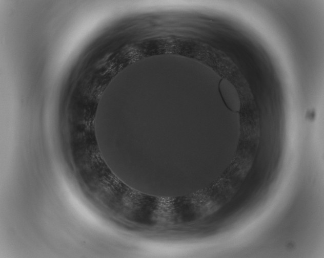 X0000111800766200907301209