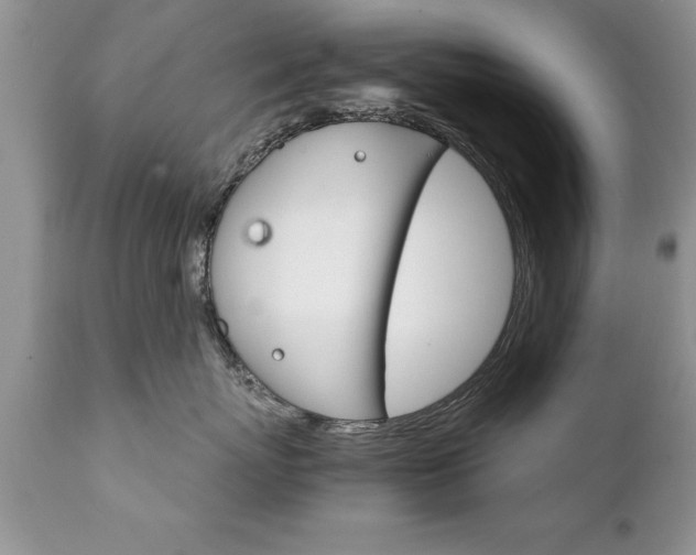 X0000111800767200907301209