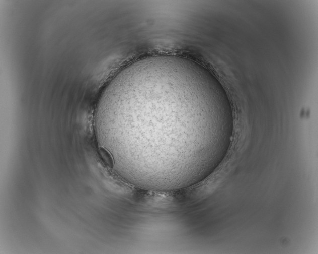 X0000111800768200907301209