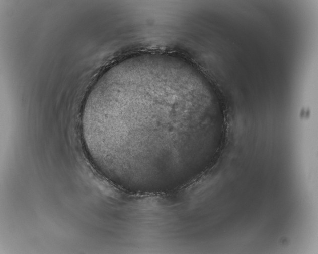 X0000111800769200907301209