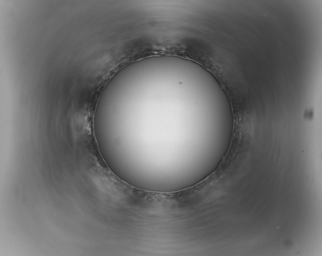 X0000111800770200907301209
