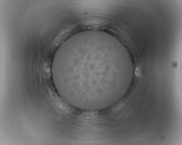 X0000111800771200907301209