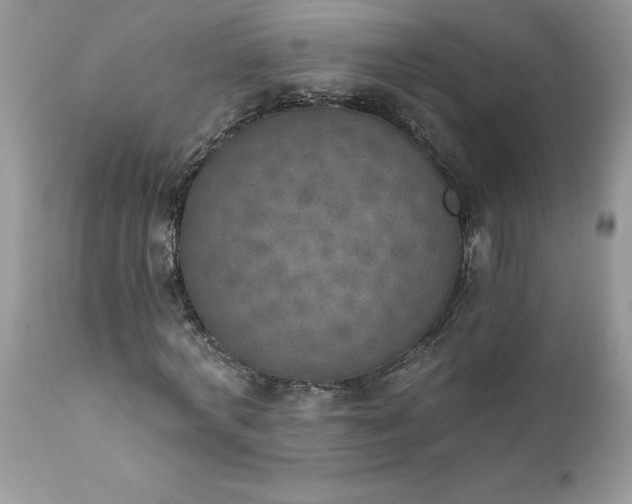X0000111800772200907301209