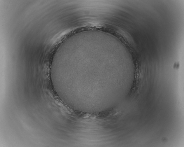 X0000111800773200907301209