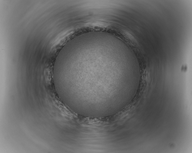 X0000111800774200907301209