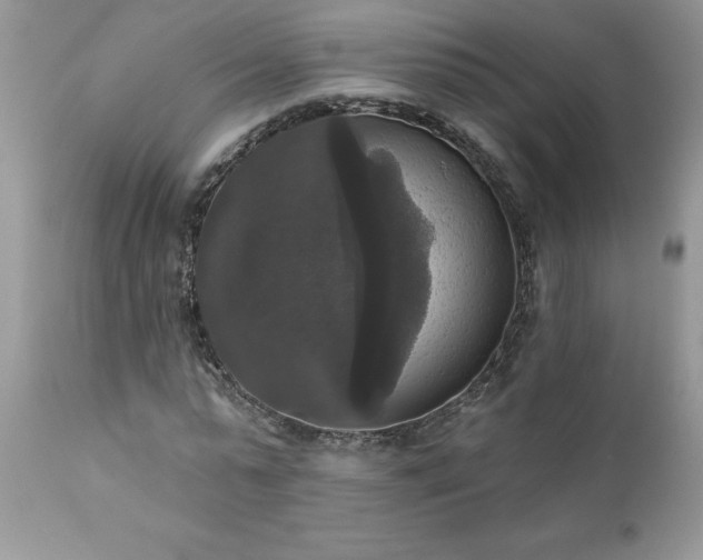 X0000111800775200907301209