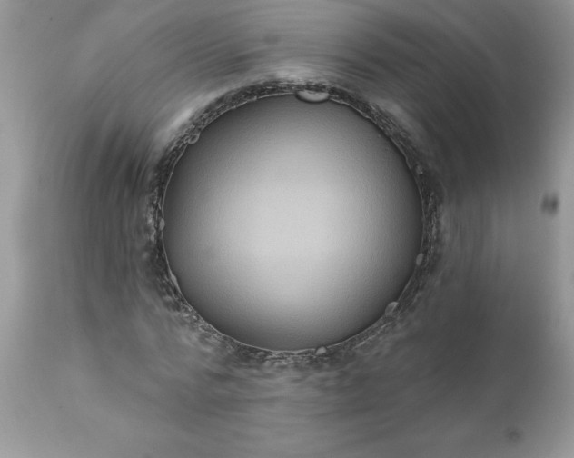X0000111800776200907301209