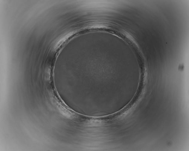 X0000111800777200907301208