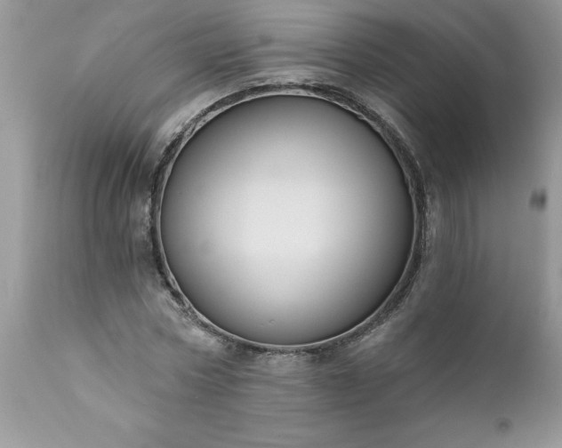 X0000111800778200907301208