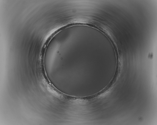 X0000111800779200907301208