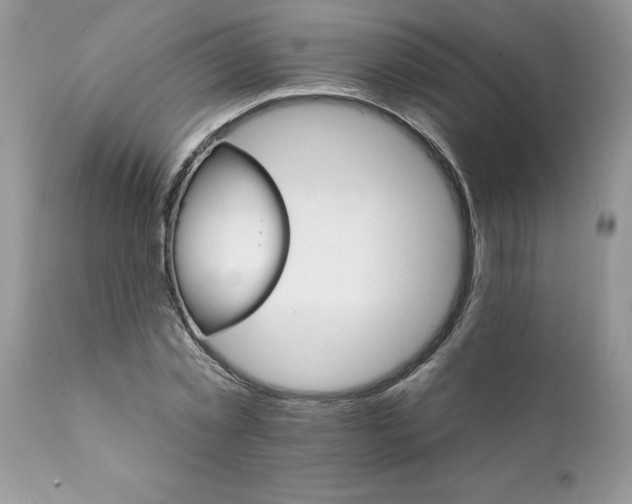 X0000111800781200907301208