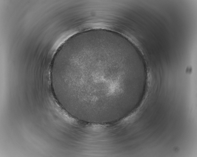 X0000111800782200907301208