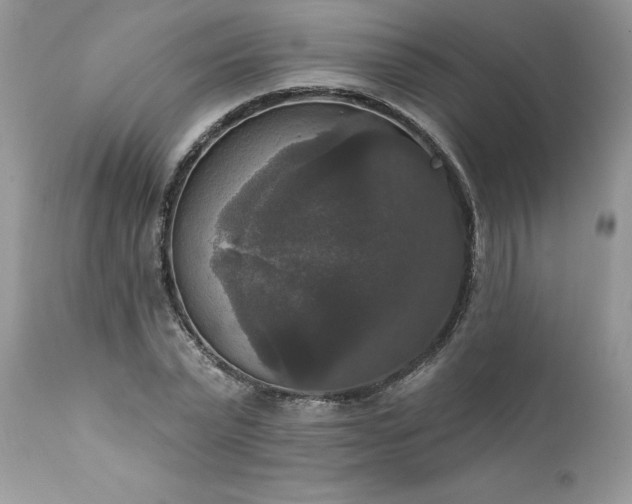X0000111800783200907301208