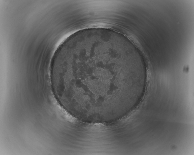 X0000111800784200907301208