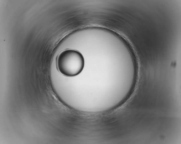 X0000111800785200907301208