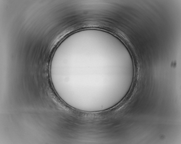 X0000111800786200907301208