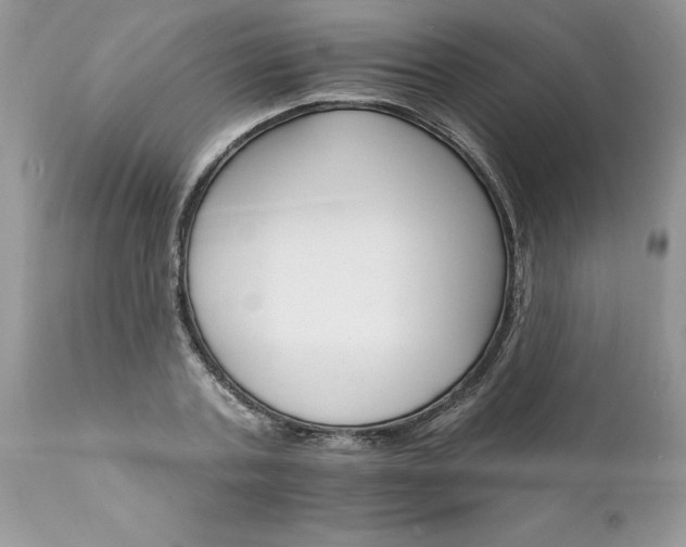X0000111800787200907301208