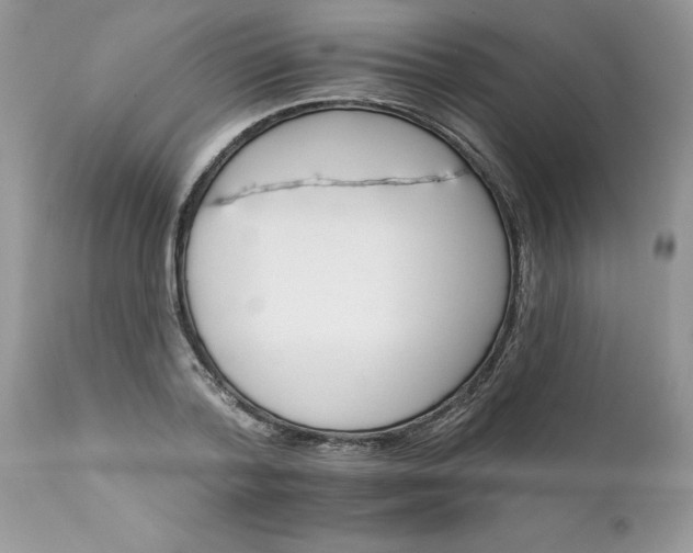 X0000111800788200907301208