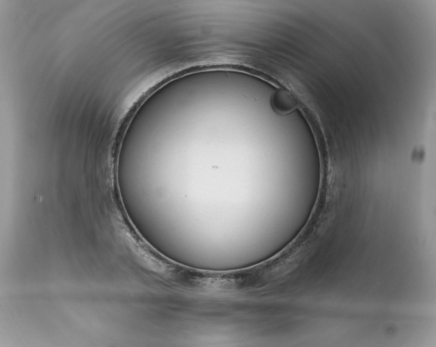 X0000111800789200907301208