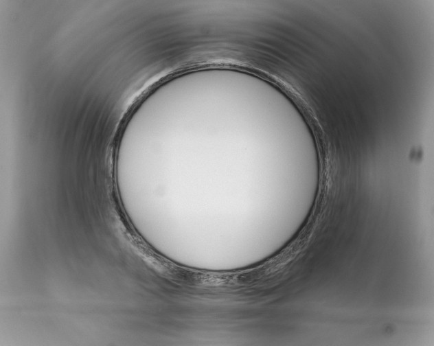 X0000111800790200907301208