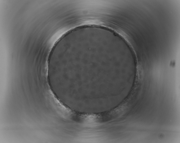 X0000111800791200907301208