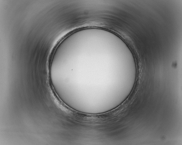 X0000111800792200907301208