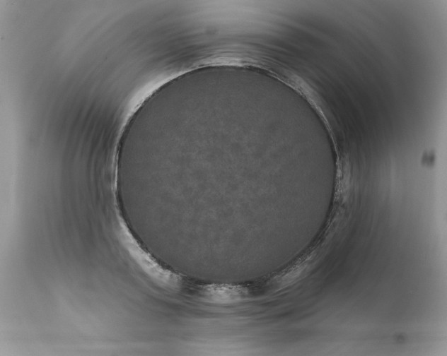X0000111800795200907301208