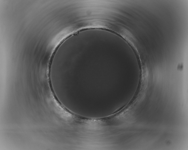 X0000111800797200907301208