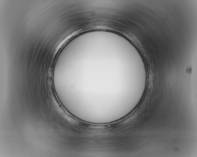X0000111800798200907301208