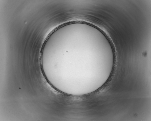 X0000111800799200907301208